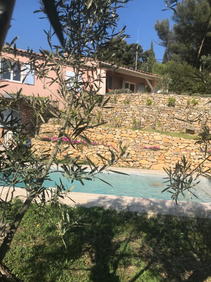 Hauteurs De Toulon : Charmant Studio Piscine Exteriör bild